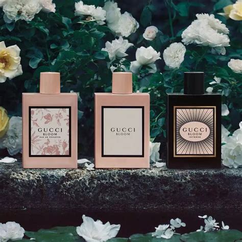 gucci boston bloom|gucci bloom release date.